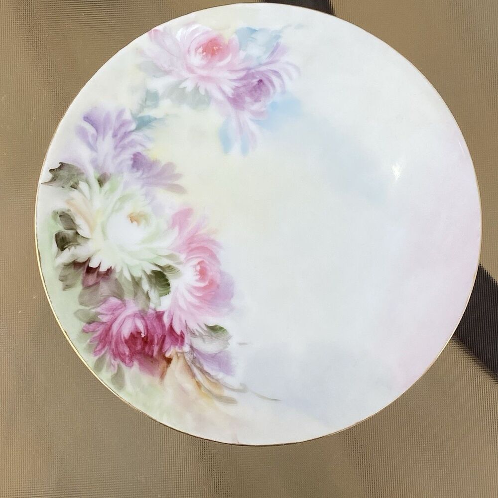 Thomas Sevres Bavaria Floral Design Pattern 6" plate, Hand Painted